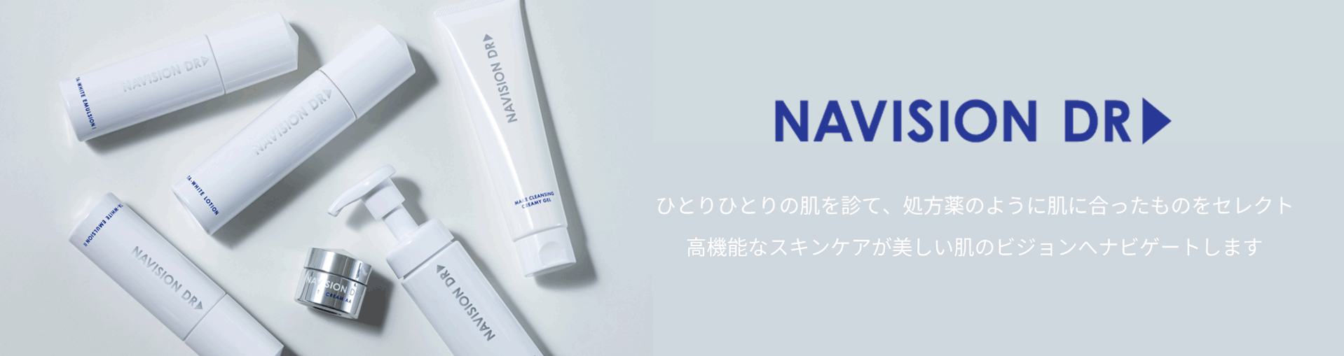 NAVISION DR